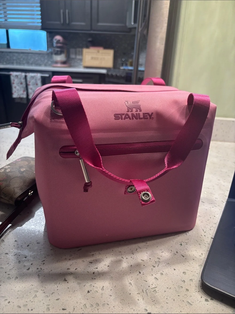 Stanley All Day Julienne Mini Cooler Pink Crossbody Lunch Bag